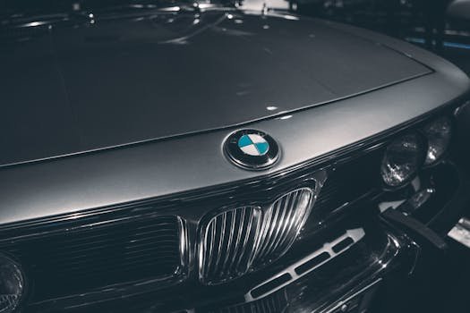 pexels-photo-2127024-2127024 Close-up of classic BMW hood showcasing emblem and chrome details. Captured in Munich, Germany.